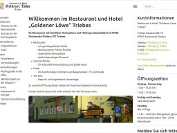 goldener-loewe-triebes.de