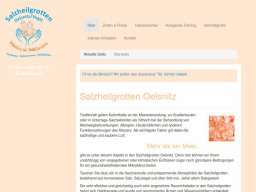 salzheilgrotte-oelsnitz.de
